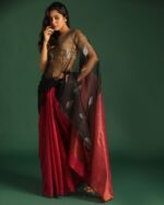 Half & Half Saree with Tissue Pallu - Image 2